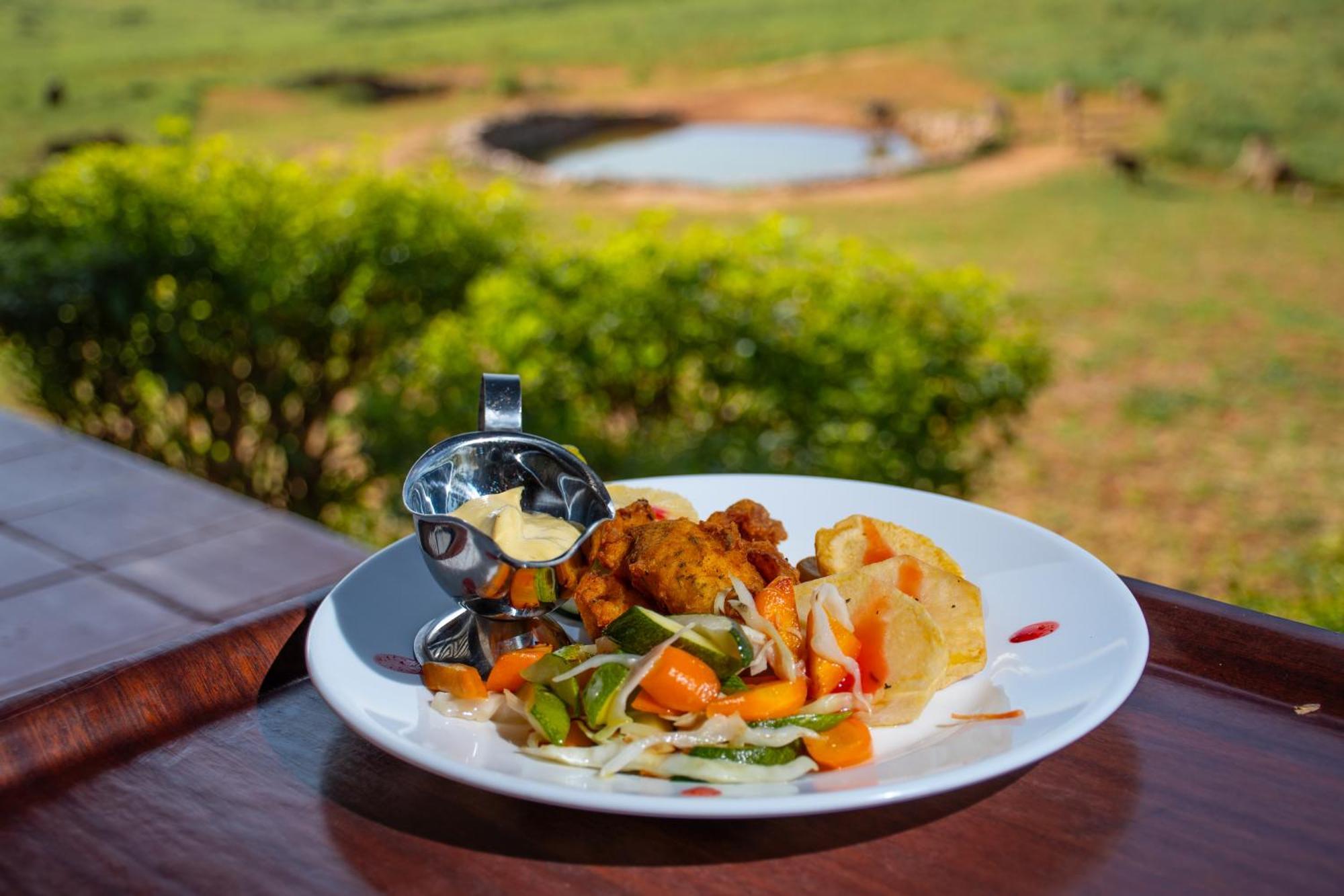 Ngulia Safari Lodge Ithumba Екстер'єр фото
